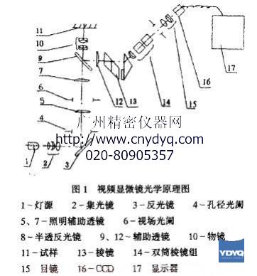 ��Ƶ������΢������