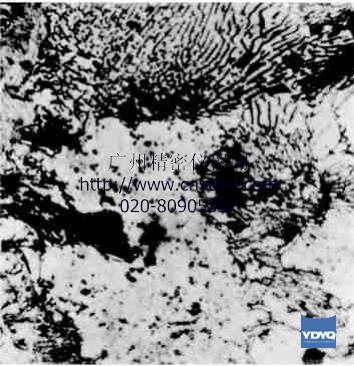 ����ѧ�����ѧ�����֪ʶ